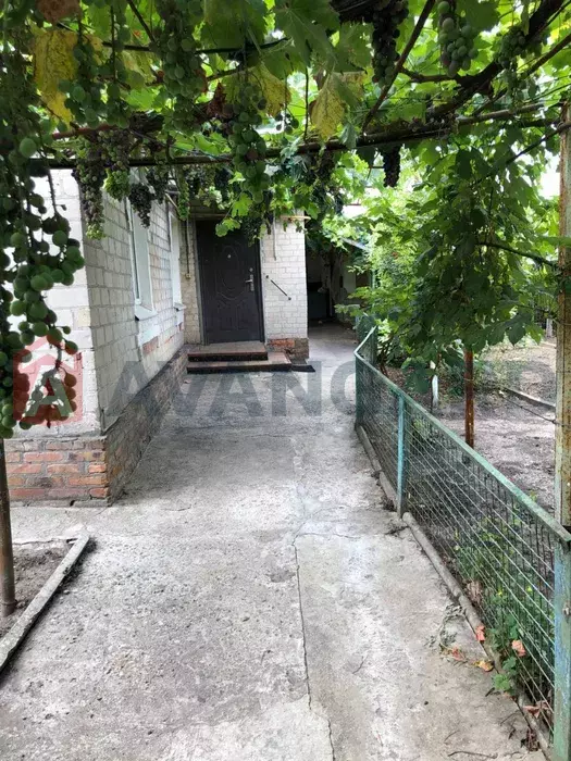 ���, 56 ��.�. ���� 8