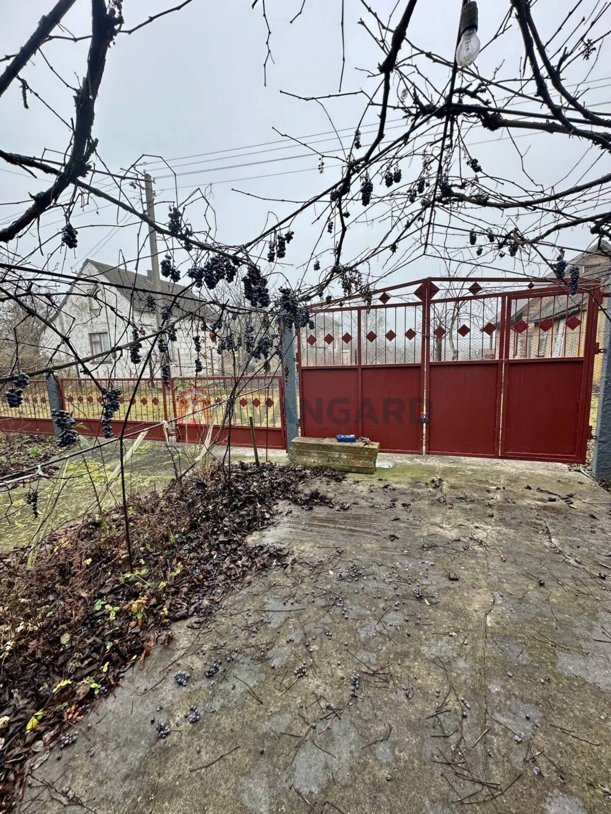 �������, 80 ��.�. ���� 2