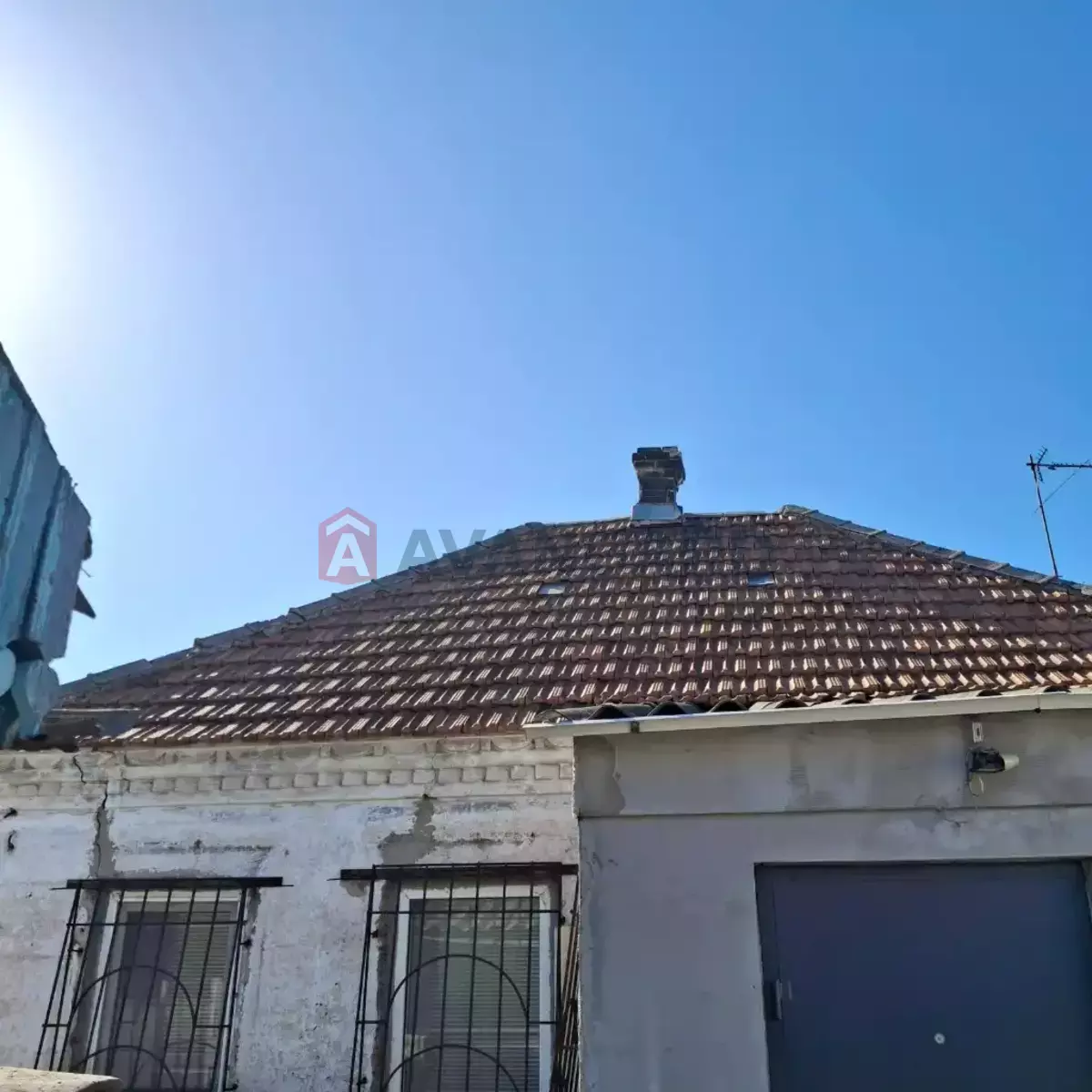 ������� �������, 37 ��.�. ���� 10