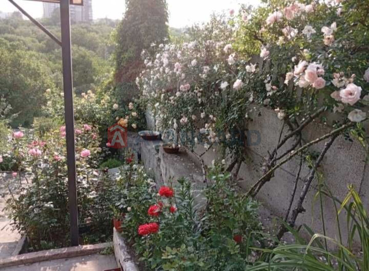 ������� �������, 38 ��.�. ���� 16