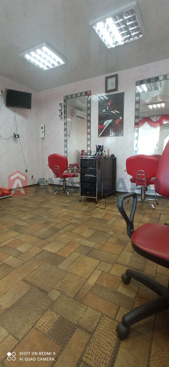 �������, 55 ��.�. ���� 12