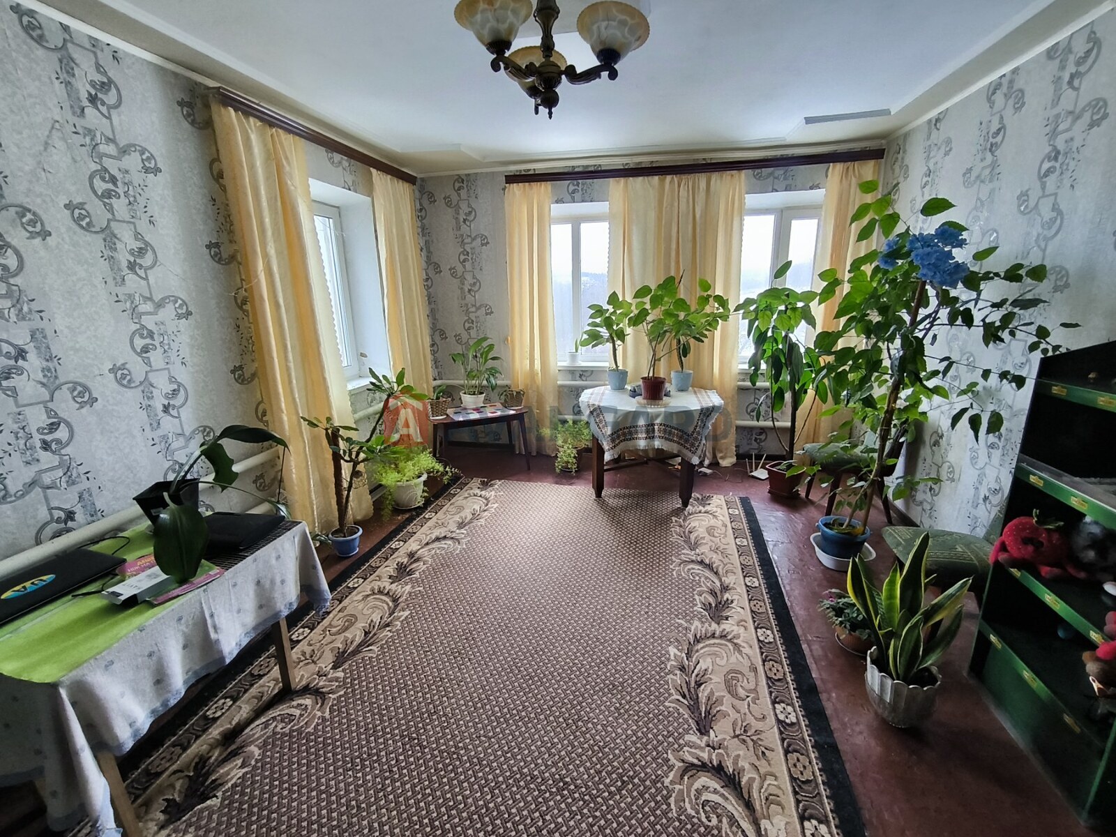 �������, 138 ��.�. ���� 6