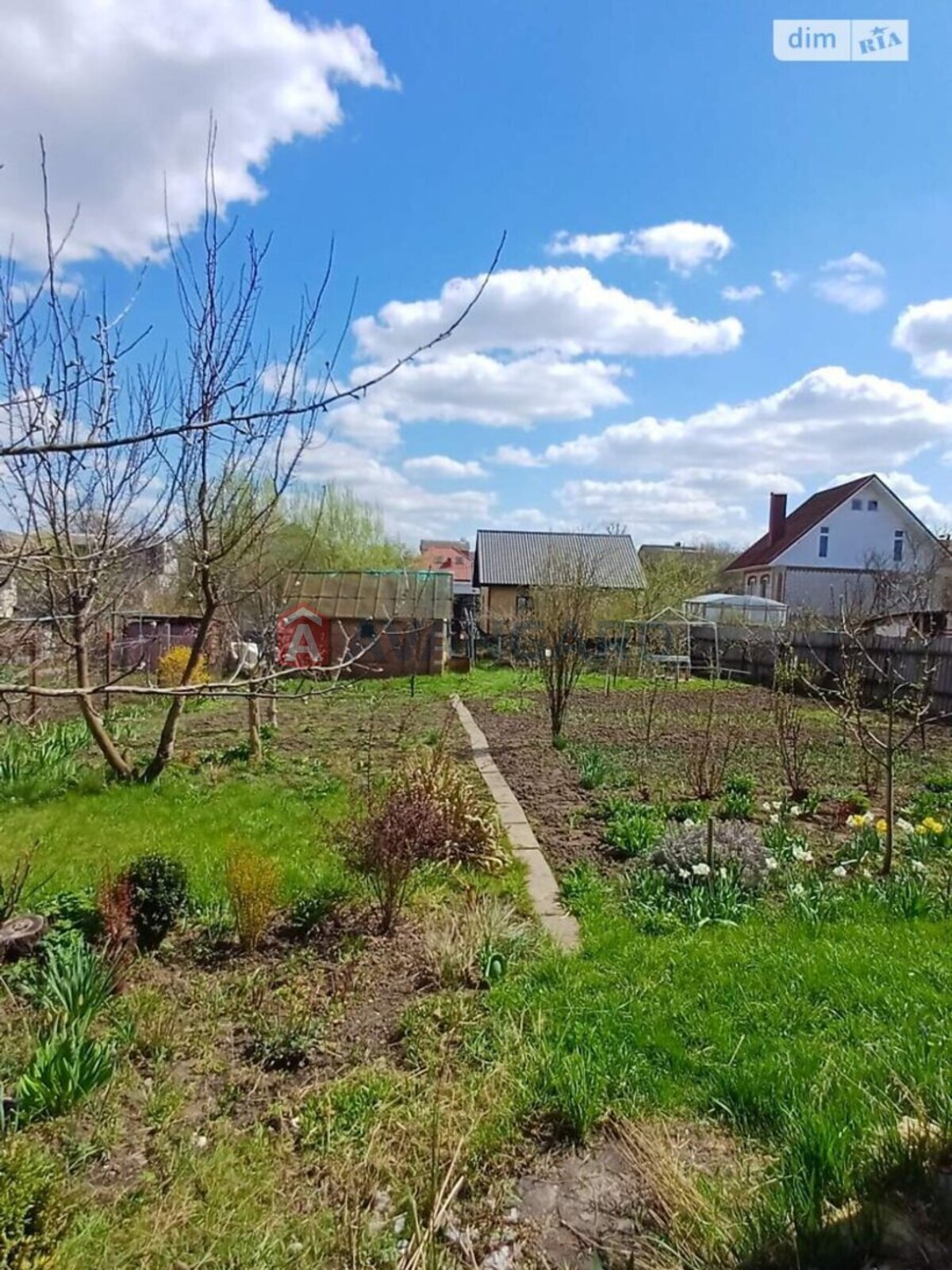 ���, 80 ��.�. ���� 14