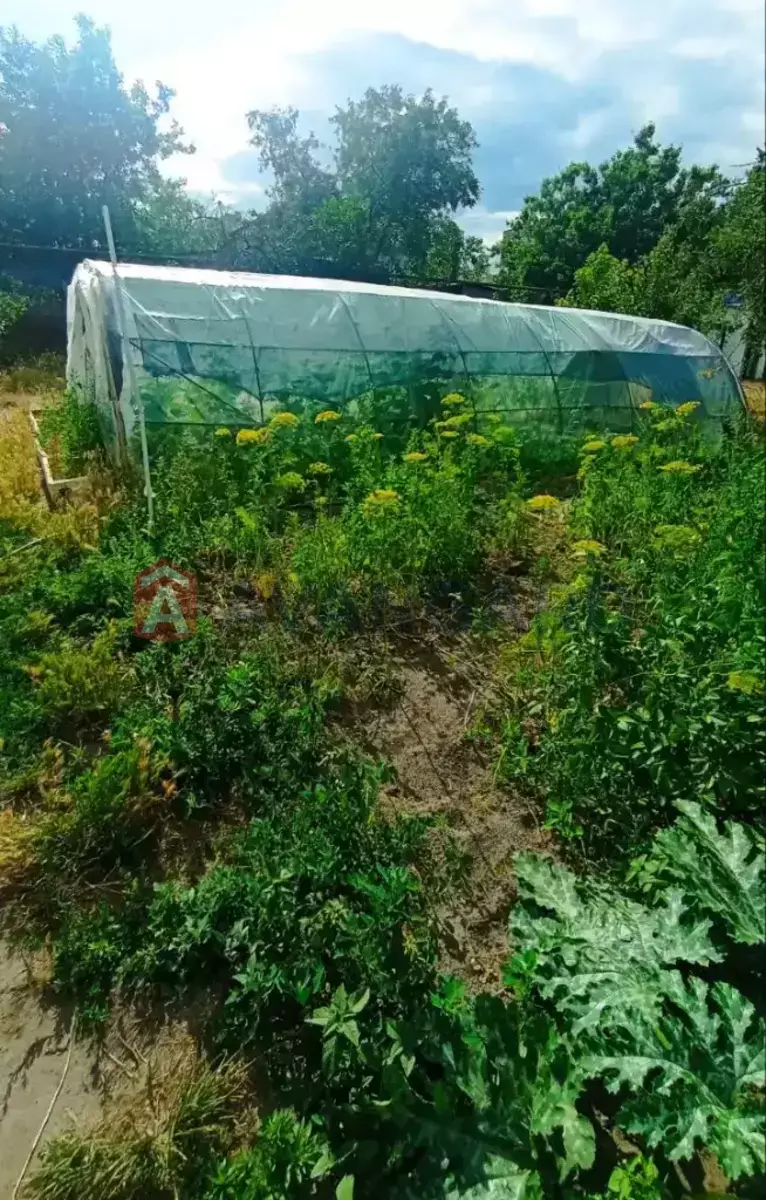 �������, 56 ��.�. ���� 4