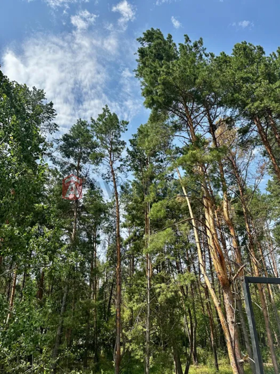 104 ��.�. ���� 12