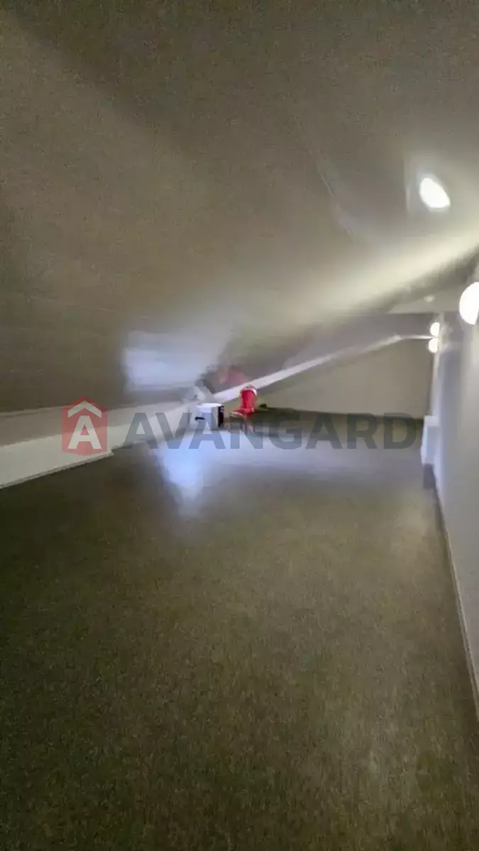 ������� �������, 520 ��.�. ���� 19