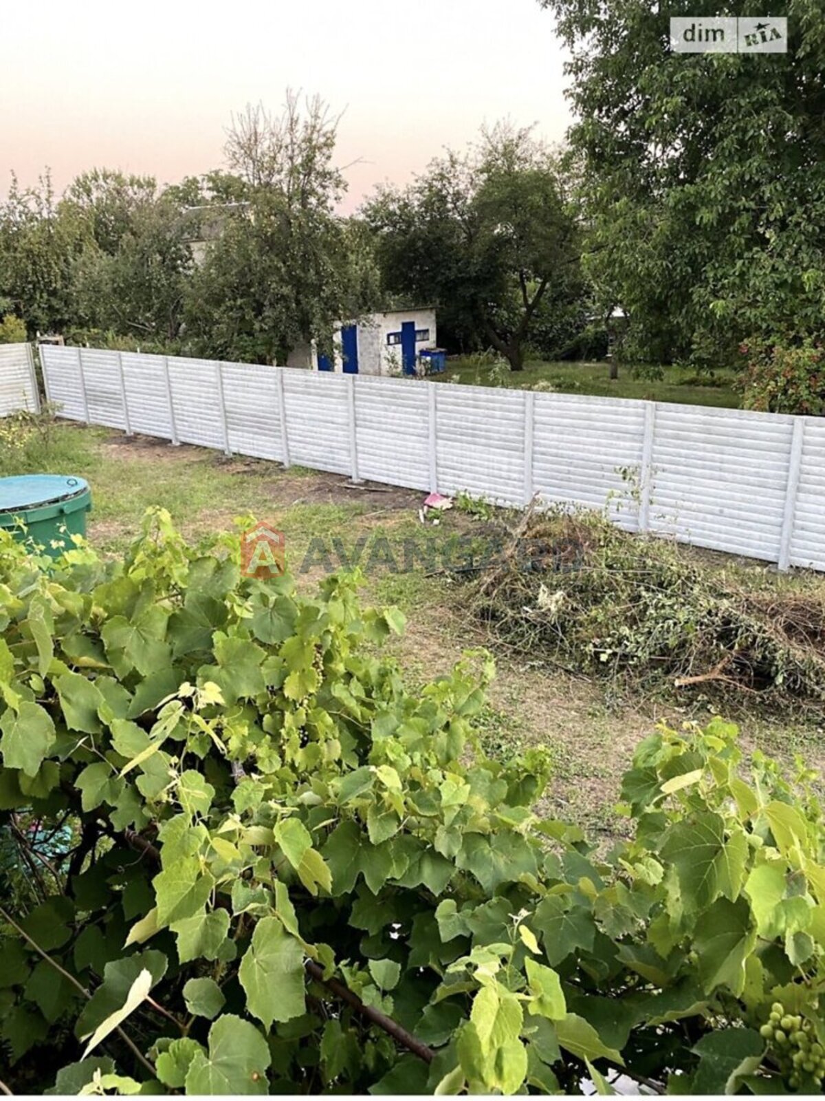 ����, 120 ��.�. ���� 7