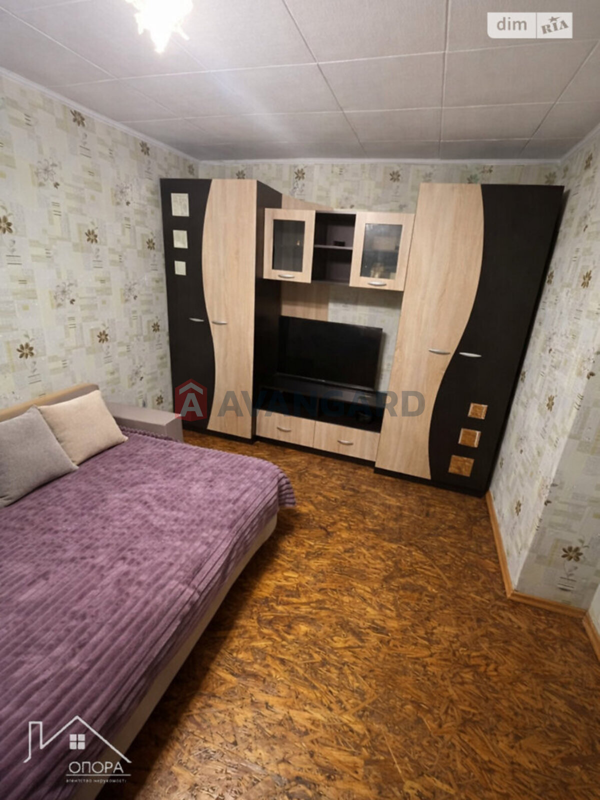 �������, 244 ��.�. ���� 19