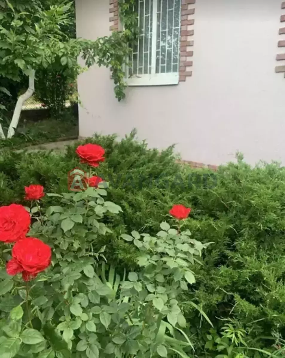 , 59 ..  13