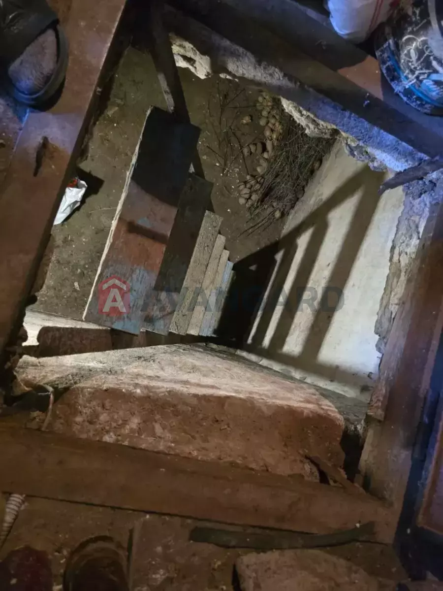 �������, 61 ��.�. ���� 15