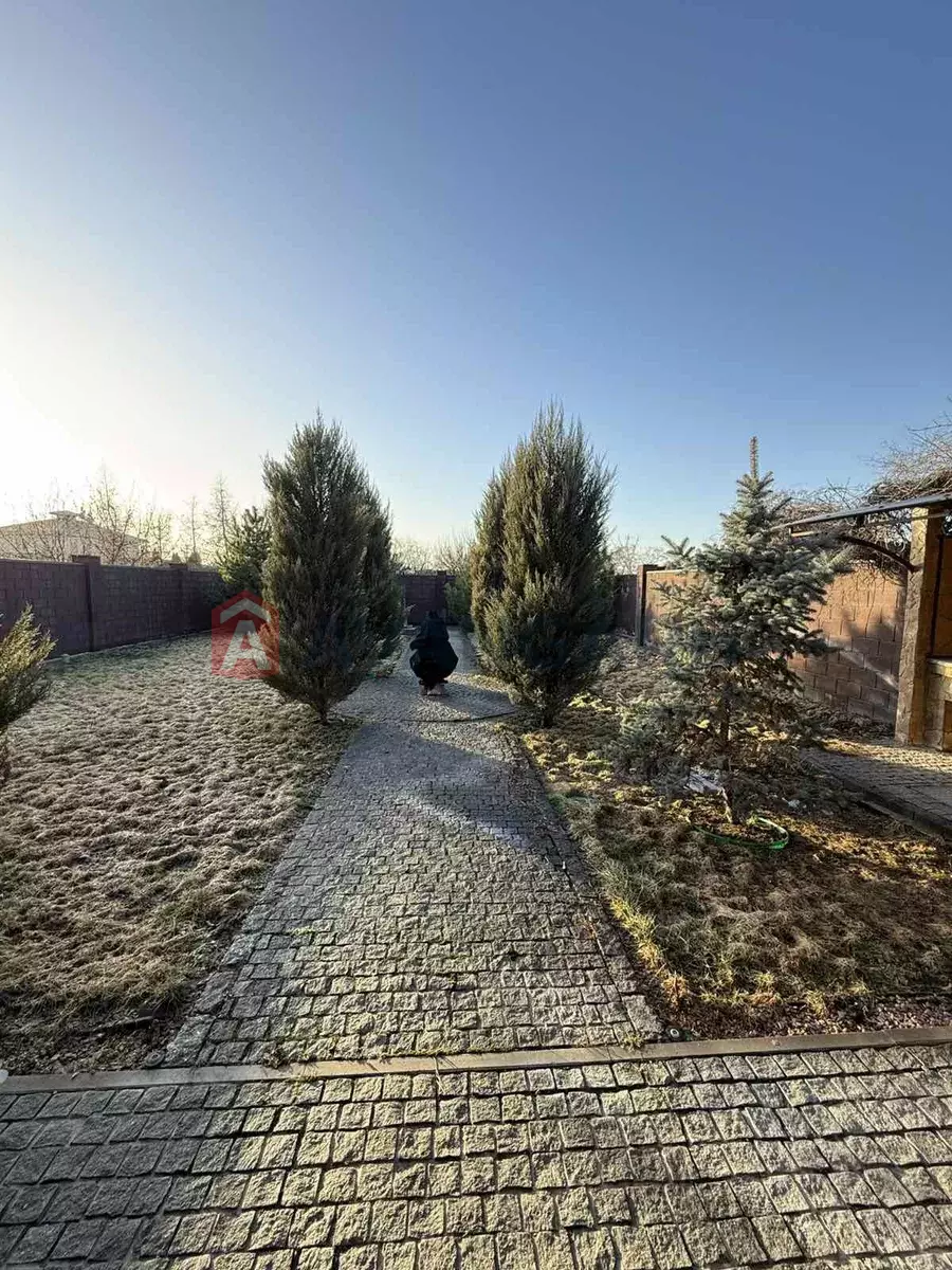 �������, 114 ��.�. ���� 12