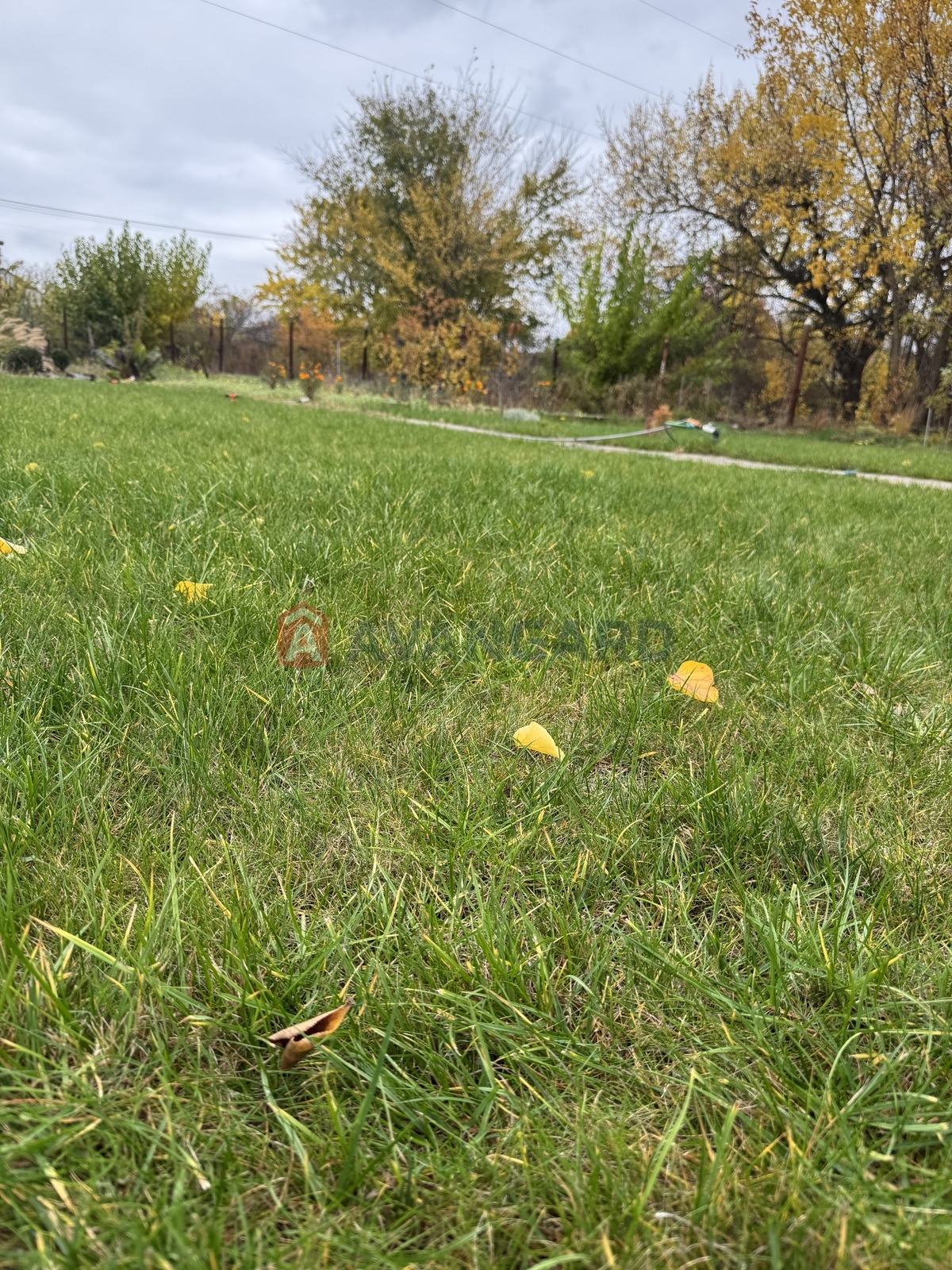 Дача, 55 кв.м. фото 9 Дача, 55 кв.м. фото 9