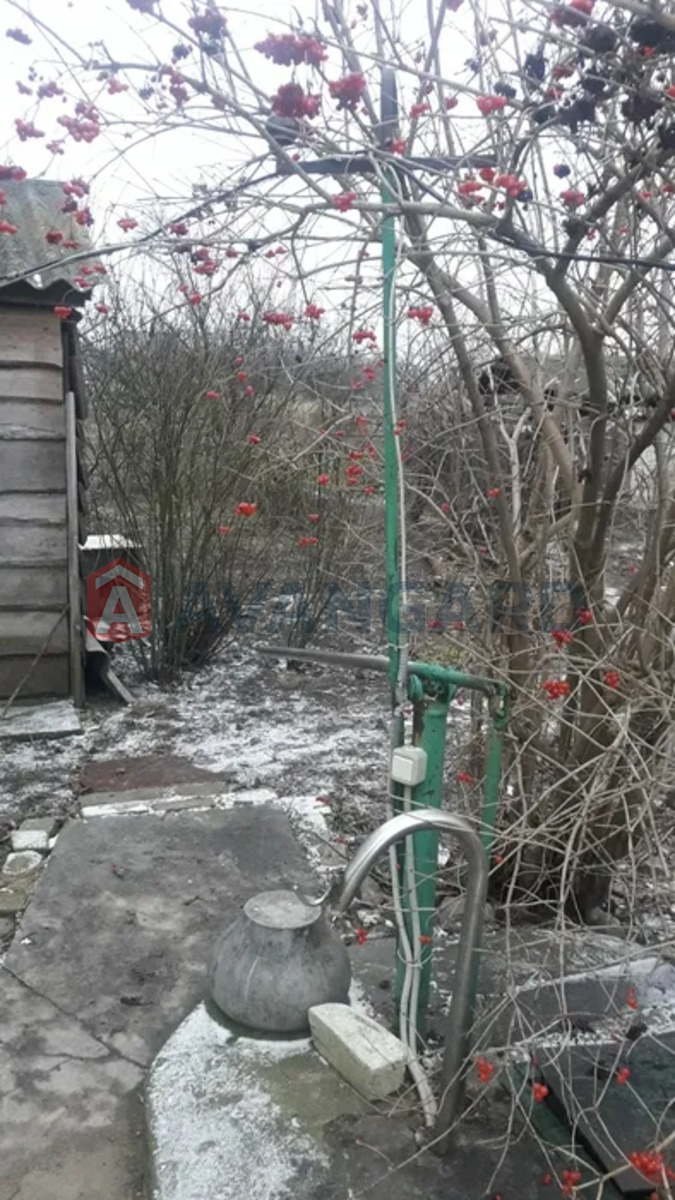 �������, 87 ��.�. ���� 20