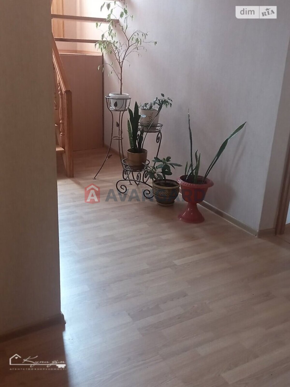 �������, 231 ��.�. ���� 7