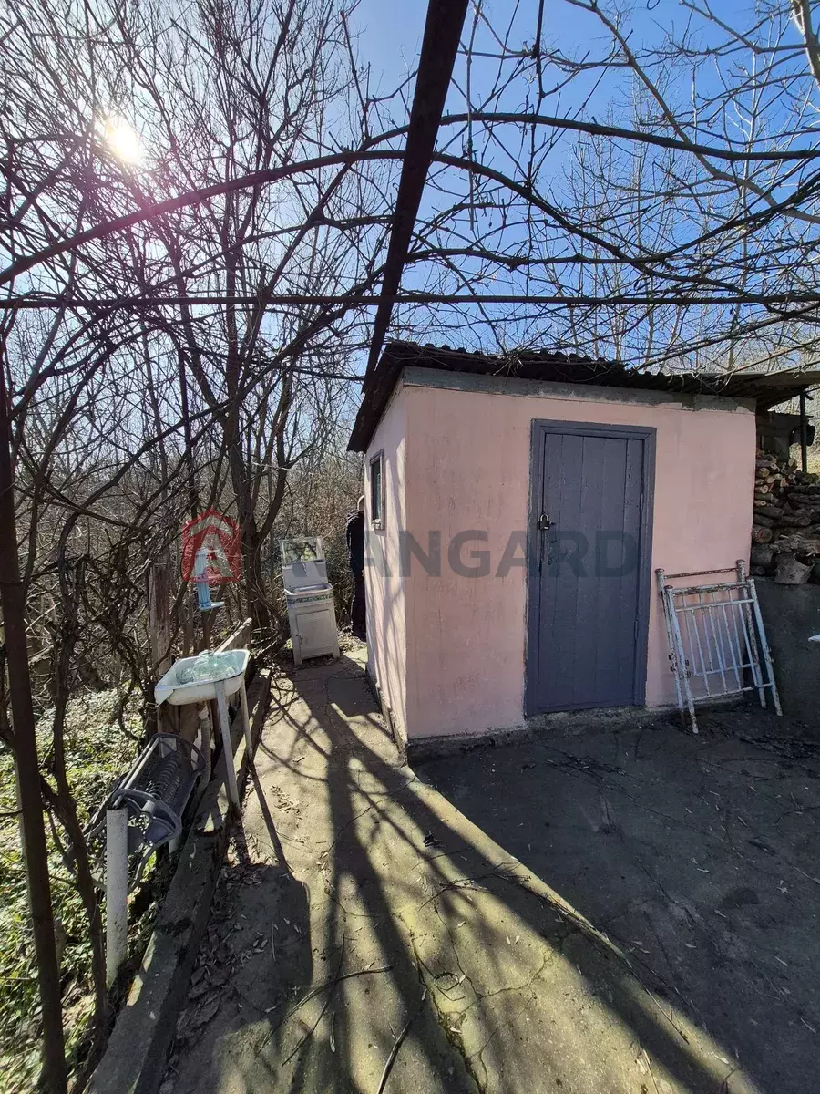 ����, 40 ��.�. ���� 6