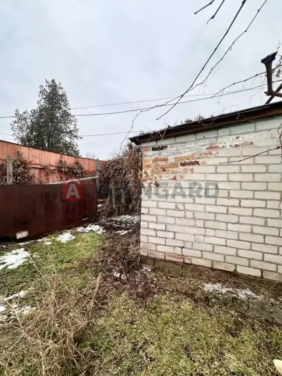 �������, 50 ��.�. ���� 5