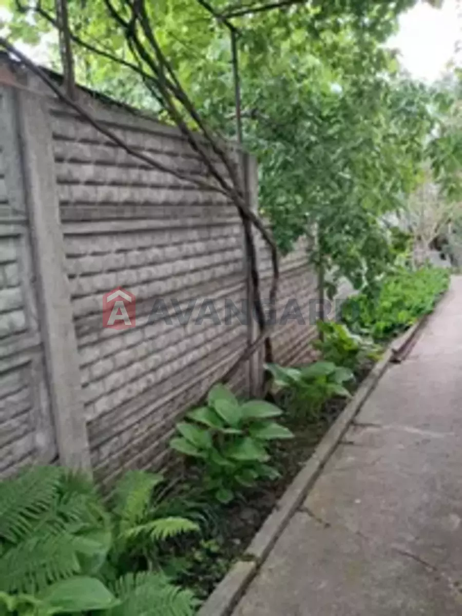 ����� ����, 77 ��.�. ���� 4
