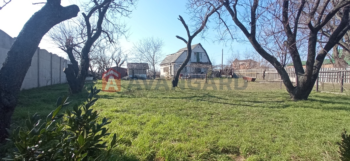 ����, 50 ��.�. ���� 1