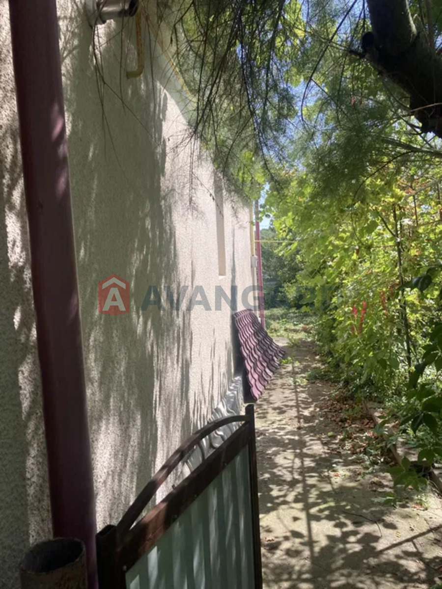 �������, 80 ��.�. ���� 5