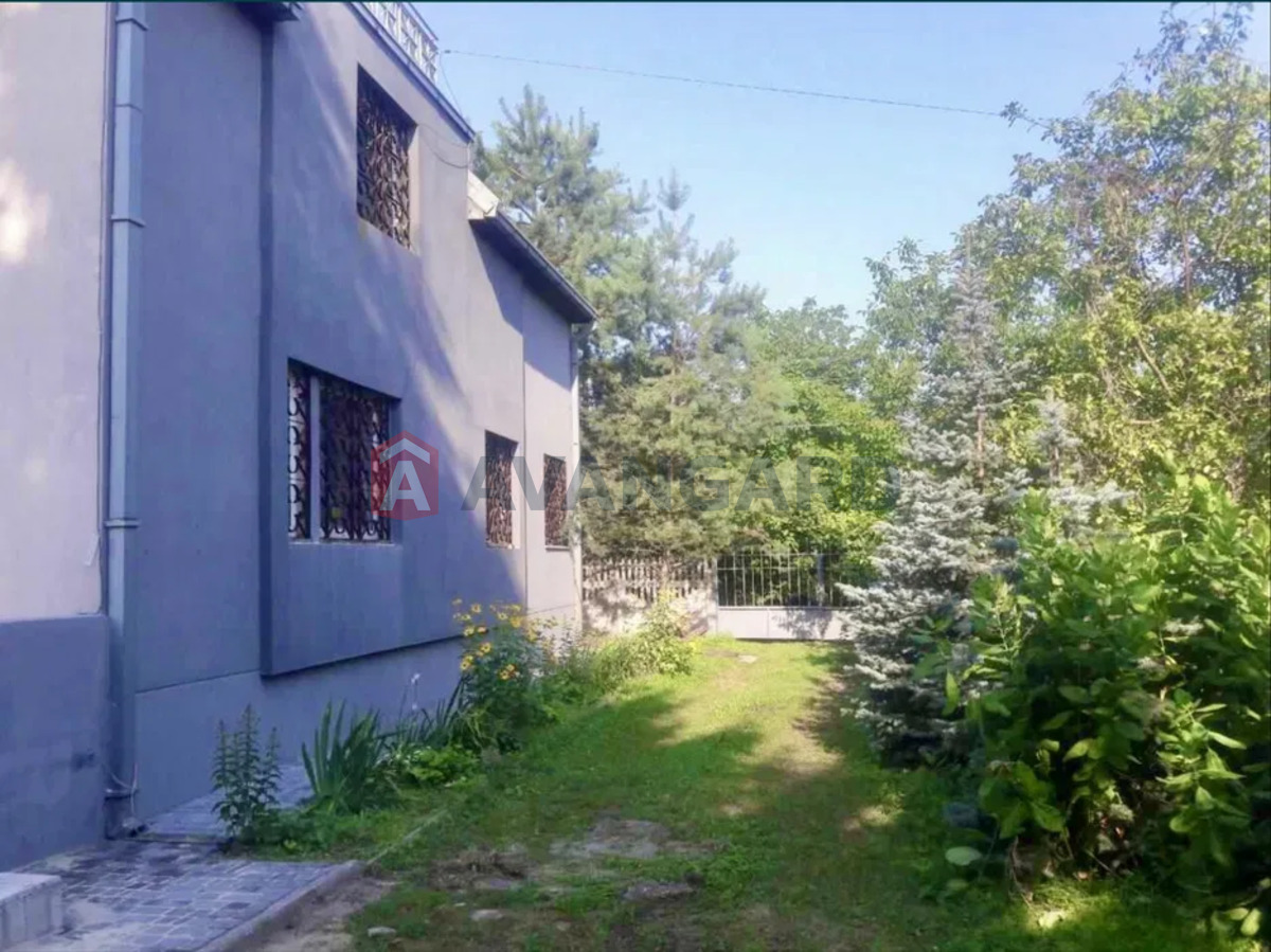 �������, 350 ��.�. ���� 3