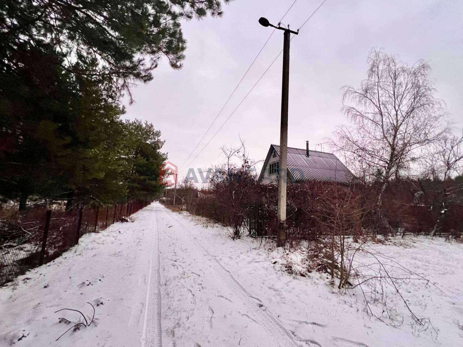 ����, 50 ��.�. ���� 12