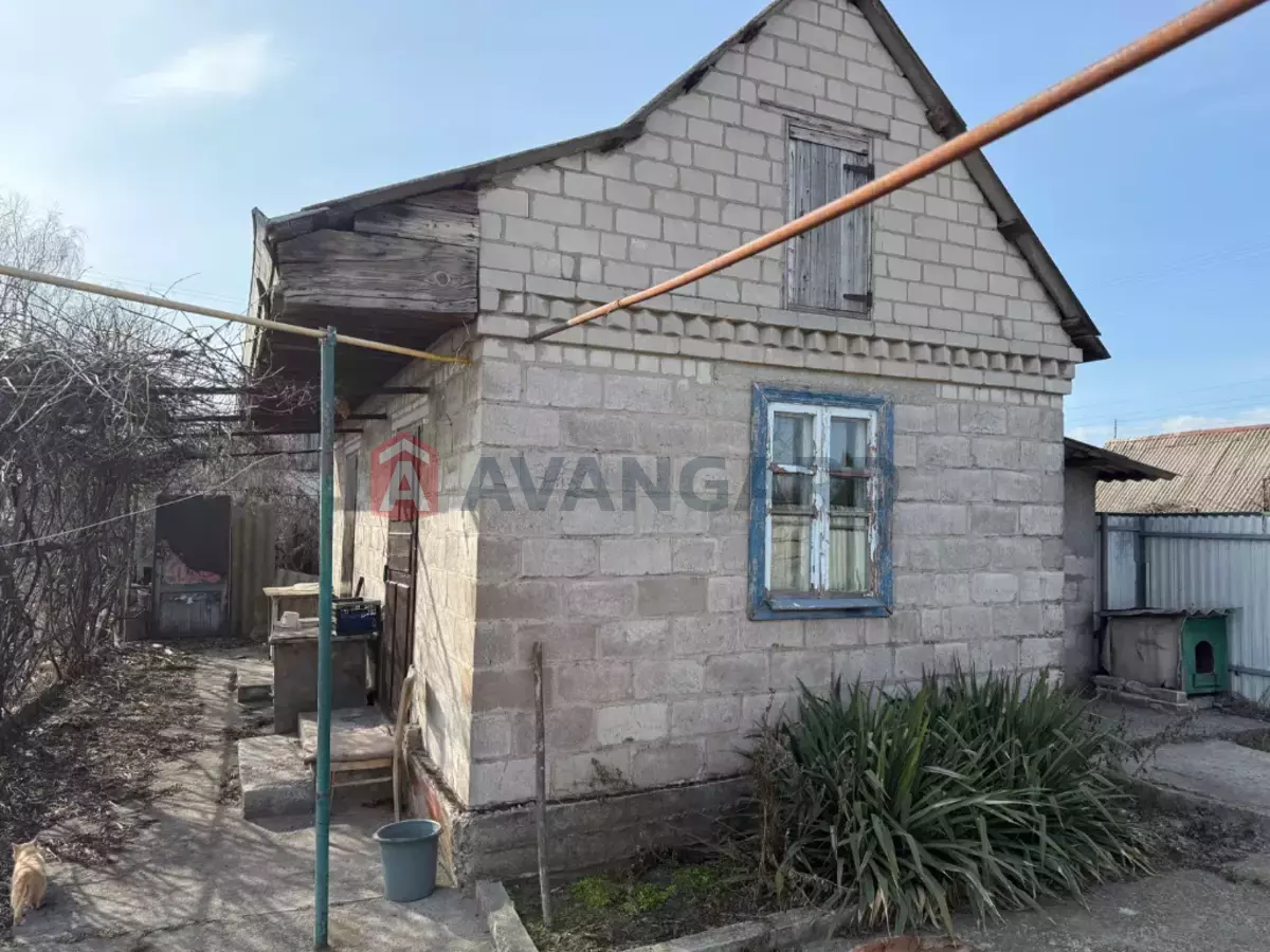 �������, 55 ��.�. ���� 7