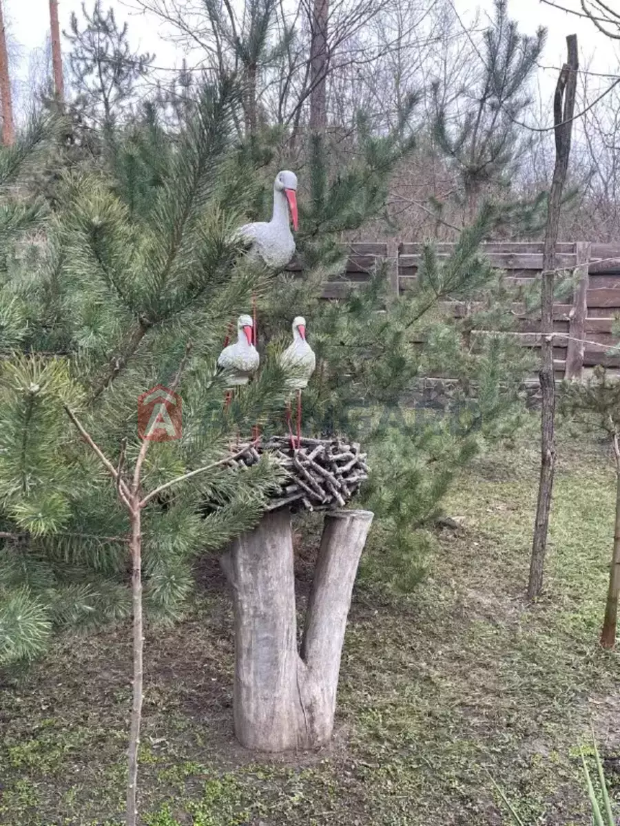 216 ��.�. ���� 5