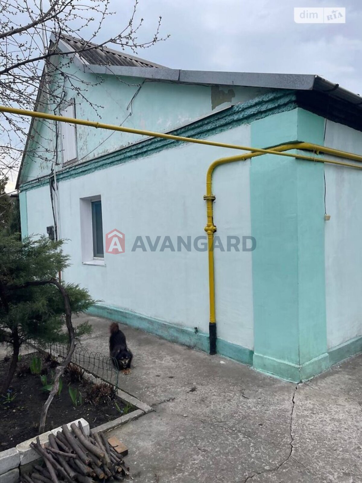 �������, 49 ��.�. ���� 3