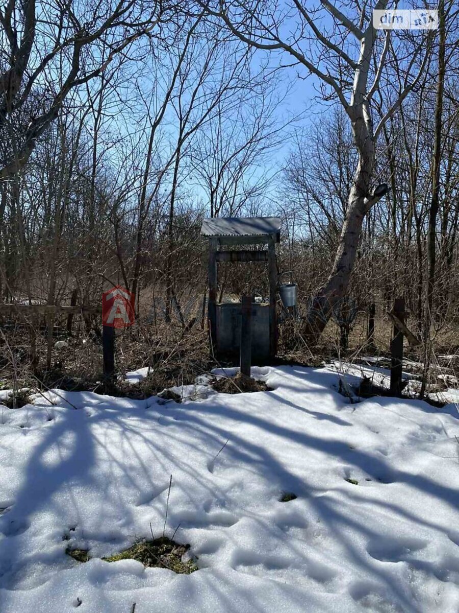 �������, 80 ��.�. ���� 6