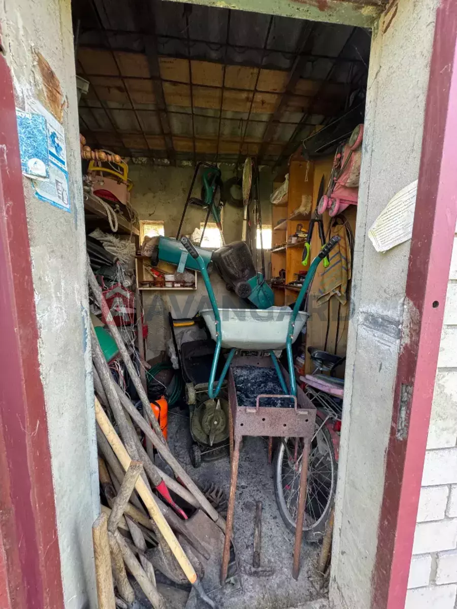 ����, 75 ��.�. ���� 5