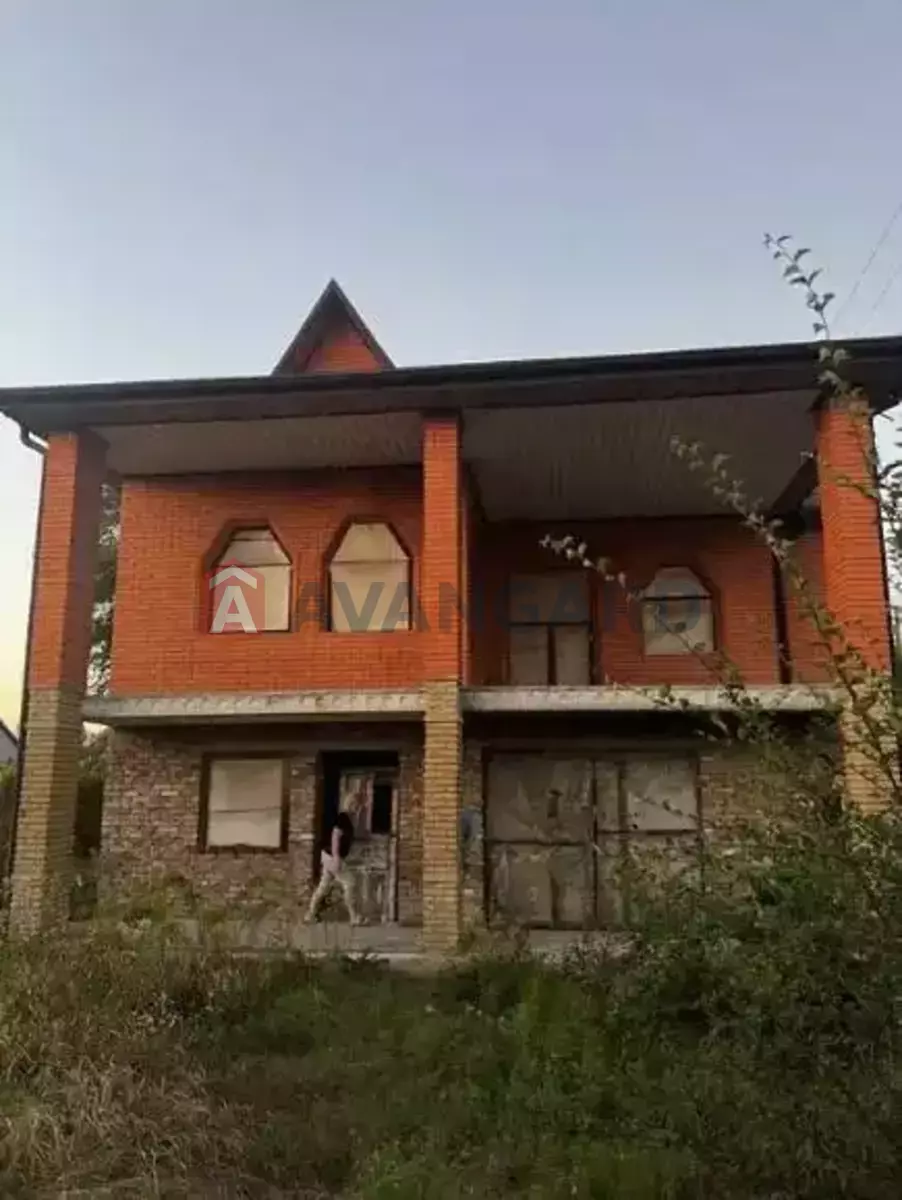 �������, 186 ��.�. ���� 5