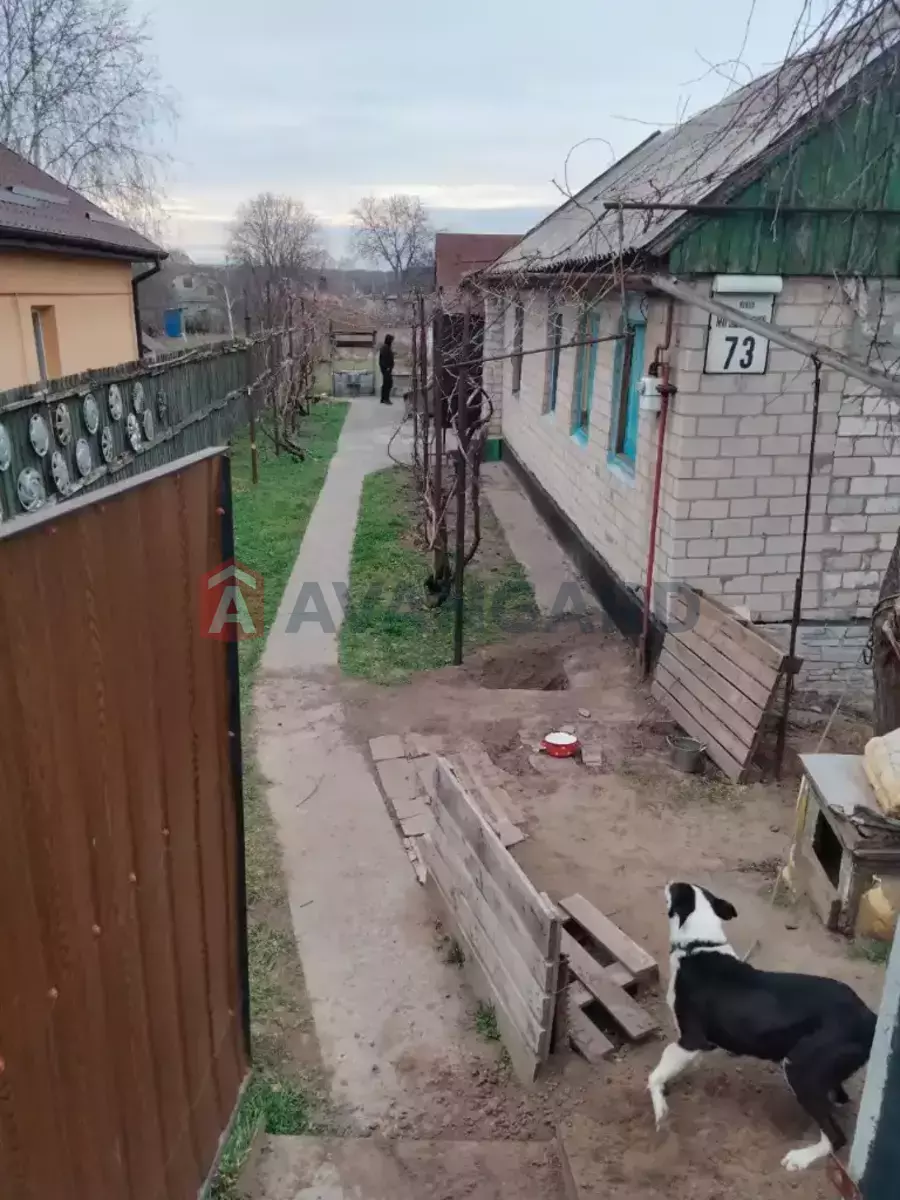 �������, 44 ��.�. ���� 4