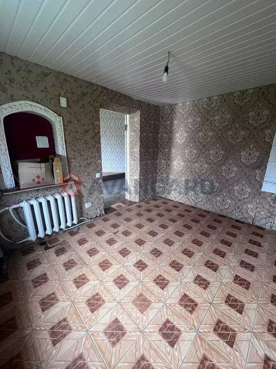 ���, 80 ��.�. ���� 3