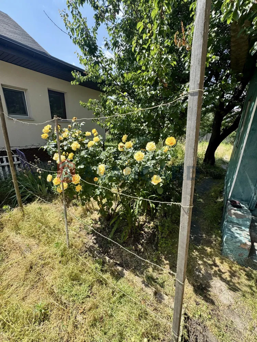 ������� �������, 56 ��.�. ���� 3