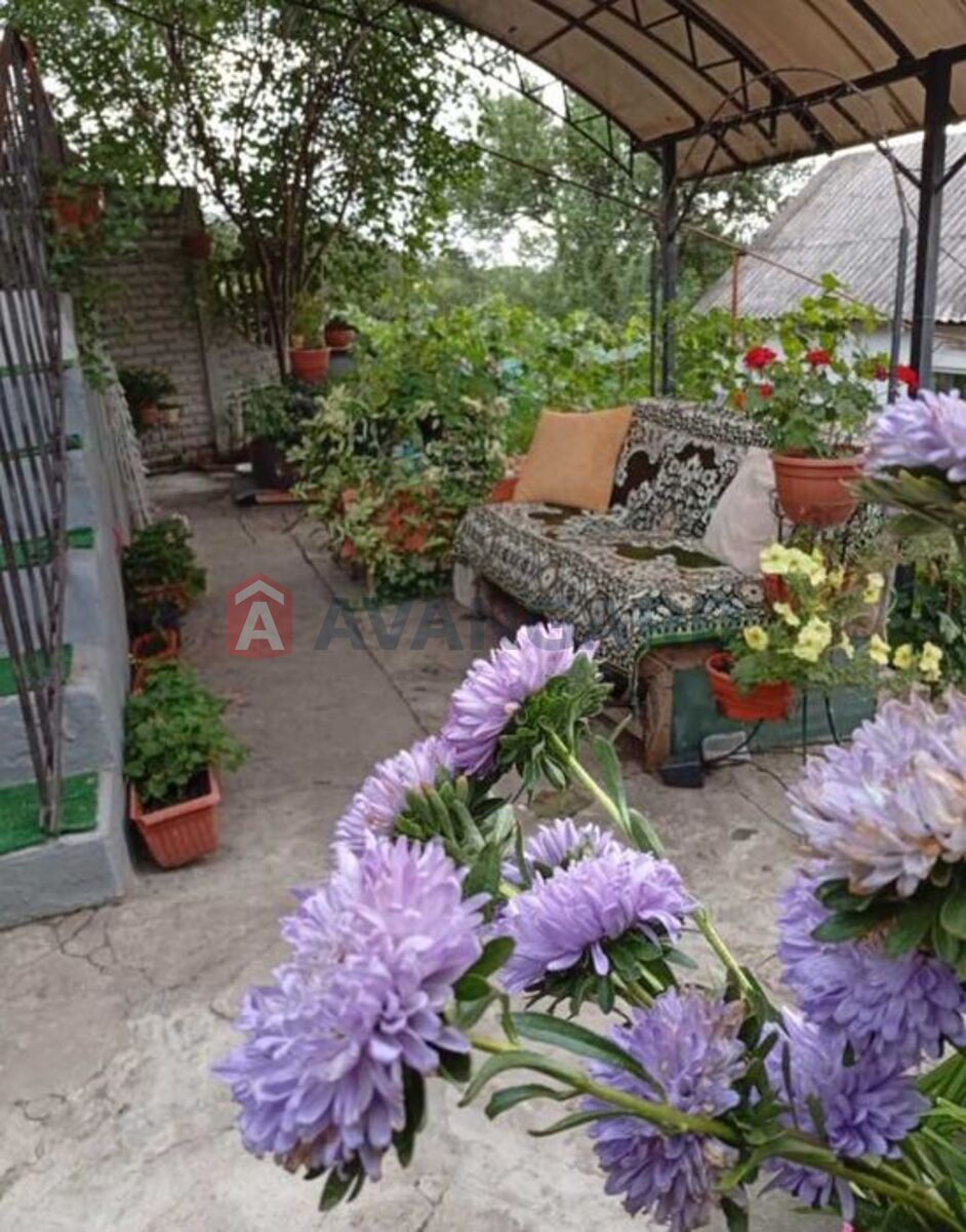 ������� �������, 38 ��.�. ���� 24