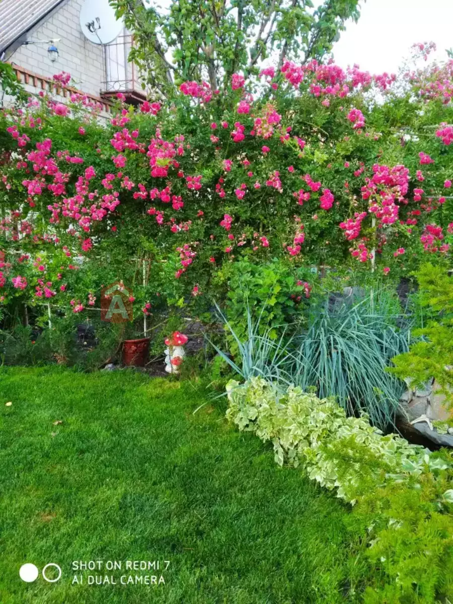 ���, 65 ��.�. ���� 27