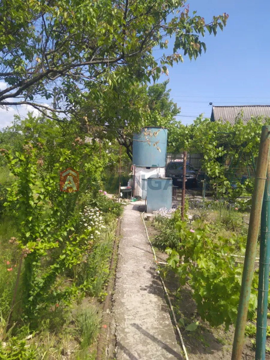 ����, 35 ��.�. ���� 8