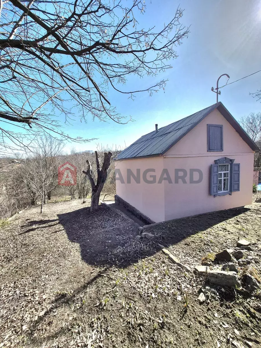 ����, 40 ��.�. ���� 2