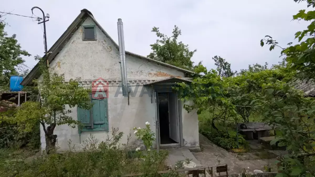 ����, 29 ��.�. ���� 7