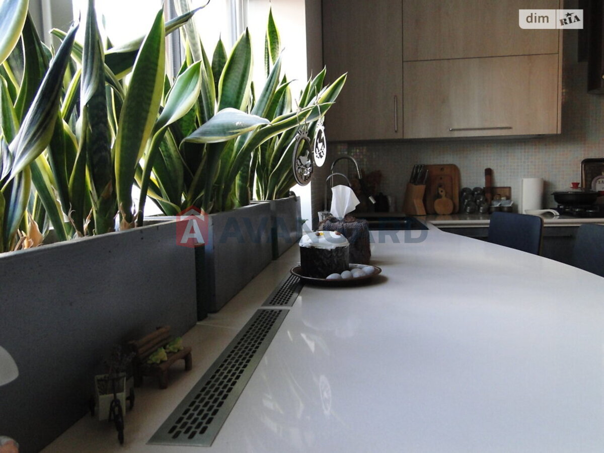 �������, 97 ��.�. ���� 12