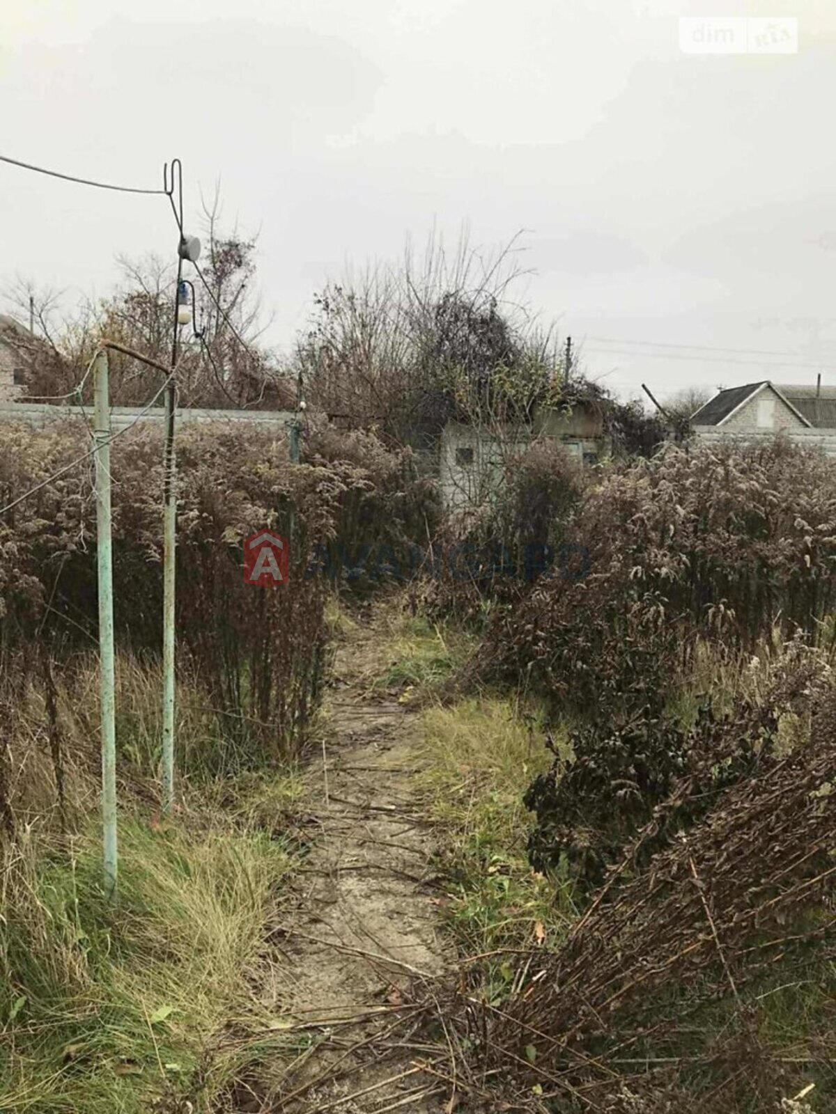 ����, 120 ��.�. ���� 22