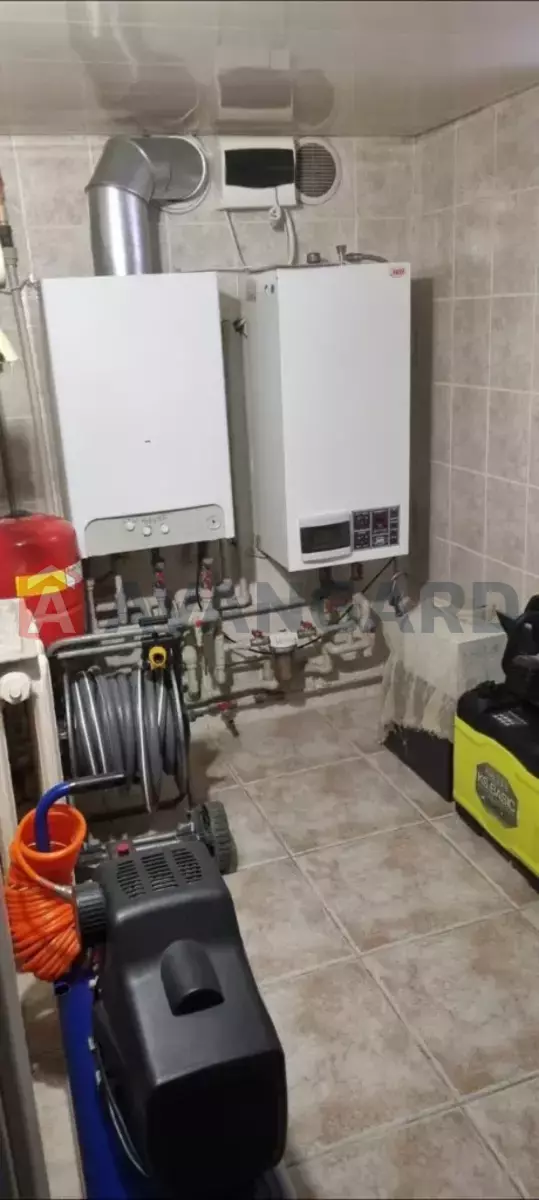 �������, 217 ��.�. ���� 14