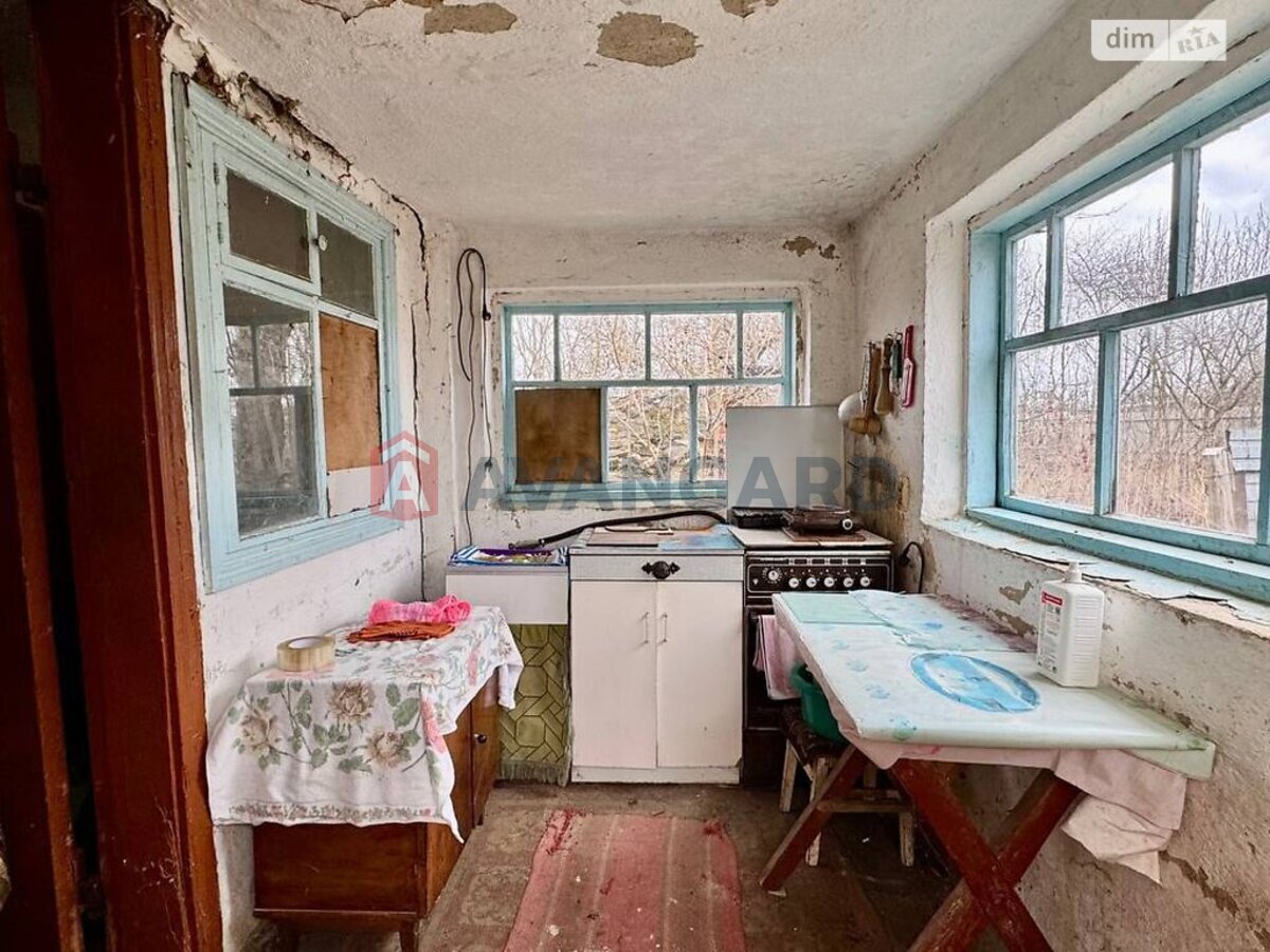 �������, 48 ��.�. ���� 19