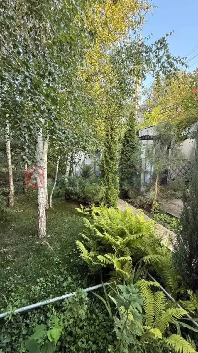 , 156 ..  6