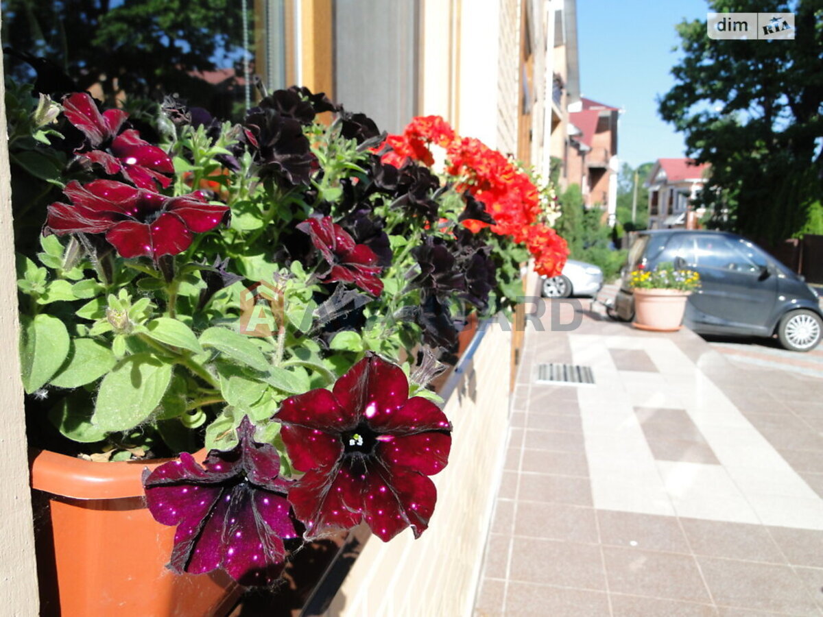 �������, 97 ��.�. ���� 1