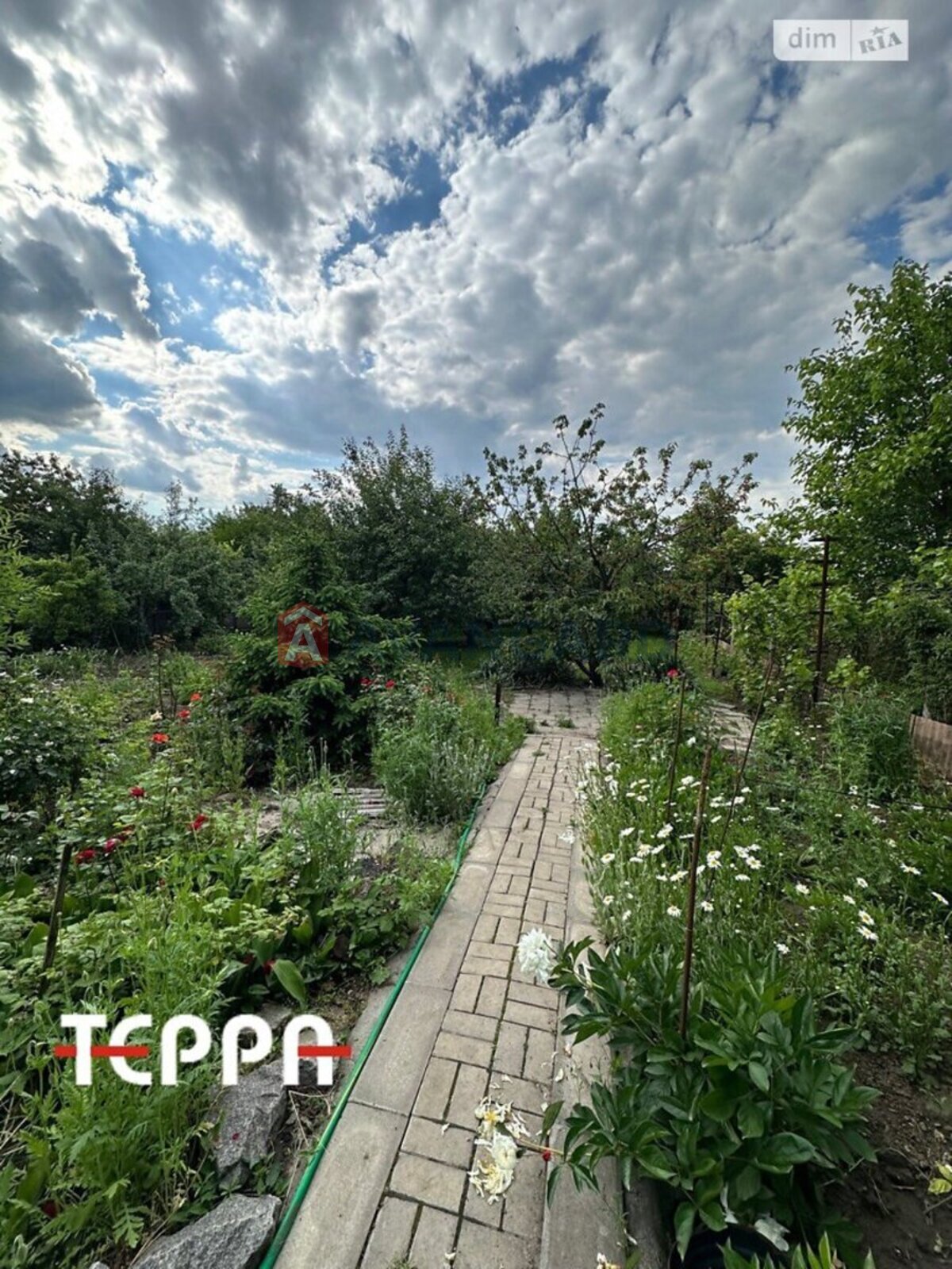 , 83 ..  7