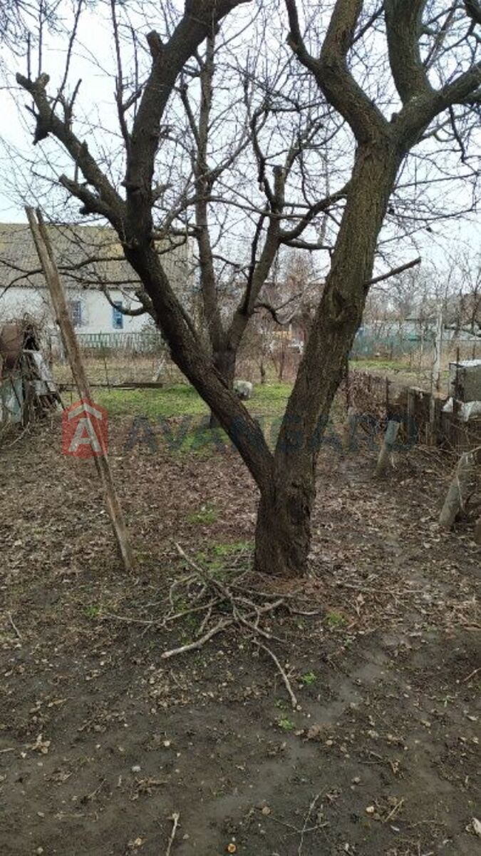 ����� ����, 40 ��.�. ���� 3