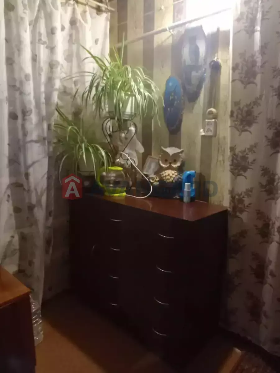 �������, 50 ��.�. ���� 10