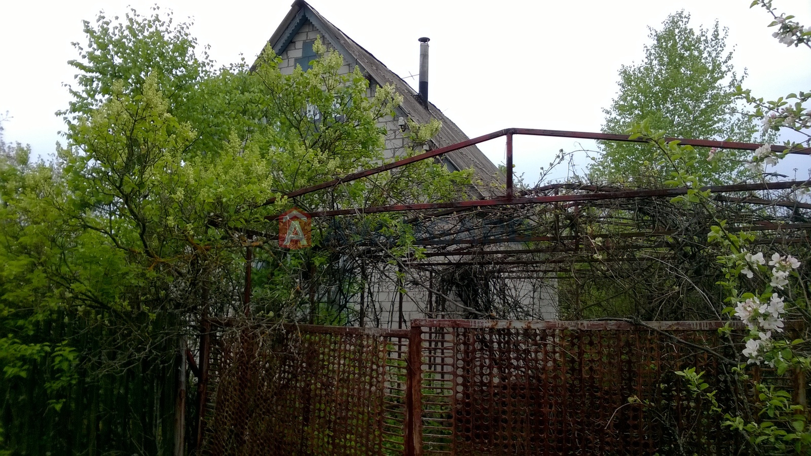 ����, 50 ��.�. ���� 26