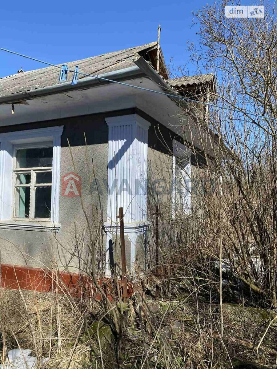 �������, 80 ��.�. ���� 10